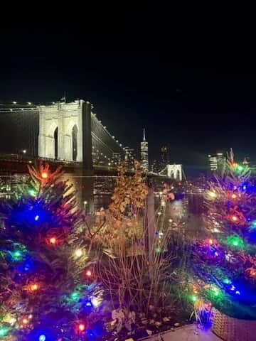 The Brooklyn Bridge and the Lower Manhattan skyline behind a row of lit holiday trees, New York