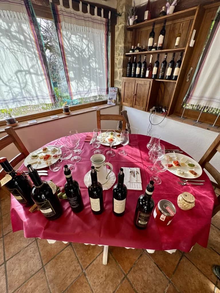 A tasting laid out with bottles, glasses and plates of cheese on a red cloth, Tuscany